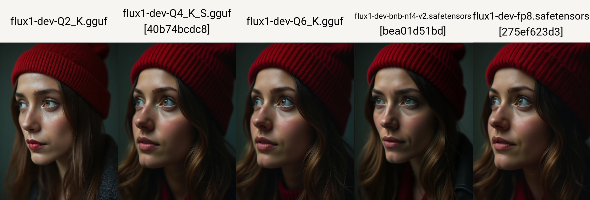 Comparison of selected FLUX.1 dev models.